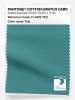Product image 1 of the product “PANTONE® COTTON SWATCH CARD 17-4919 TCX Teal ”