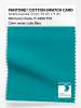 Product image 1 of the product “PANTONE® COTTON SWATCH CARD 17-4928 TCX Lake Blue ”