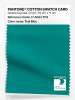 Product image 1 of the product “PANTONE® COTTON SWATCH CARD 17-5024 TCX Teal Blue ”