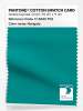 Product image 1 of the product “PANTONE® COTTON SWATCH CARD 17-5025 TCX Navigate ”
