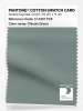Product image 1 of the product “PANTONE® COTTON SWATCH CARD 17-5107 TCX Chinois Green ”