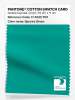 Artikelbild 1 des Artikels “PANTONE® COTTON SWATCH CARD 17-5335 TCX Spectra Green “
