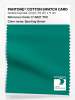 Artikelbild 1 des Artikels “PANTONE® COTTON SWATCH CARD 17-5527 TCX Sporting Green “