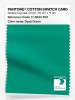 Product image 1 of the product “PANTONE® COTTON SWATCH CARD 17-5633 TCX Deep Green ”