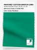 Artikelbild 1 des Artikels “PANTONE® COTTON SWATCH CARD 17-5735 TCX Parakeet “