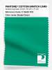 Artikelbild 1 des Artikels “PANTONE® COTTON SWATCH CARD 17-5936 TCX Simply Green “
