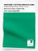 Artikelbild 1 des Artikels “PANTONE® COTTON SWATCH CARD 17-5937 TCX Deep Mint “