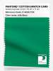 Product image 1 of the product “PANTONE® COTTON SWATCH CARD 17-6030 TCX Jelly Bean ”
