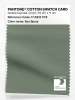 Artikelbild 1 des Artikels “PANTONE® COTTON SWATCH CARD 17-6212 TCX Sea Spray “