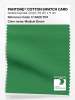 Artikelbild 1 des Artikels “PANTONE® COTTON SWATCH CARD 17-6229 TCX Medium Green “