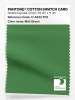 Product image 1 of the product “PANTONE® COTTON SWATCH CARD 17-6333 TCX Mint Green ”