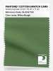 Artikelbild 1 des Artikels “PANTONE® COTTON SWATCH CARD 18-0119 TCX Willow Bough “