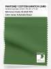 Product image 1 of the product “PANTONE® COTTON SWATCH CARD 18-0125 TCX Artichoke Green ”