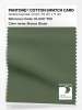 Product image 1 of the product “PANTONE® COTTON SWATCH CARD 18-0317 TCX Bronze Green ”