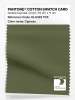 Product image 1 of the product “PANTONE® COTTON SWATCH CARD 18-0322 TCX Cypress ”