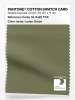 Product image 1 of the product “PANTONE® COTTON SWATCH CARD 18-0422 TCX Loden Green ”