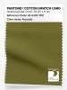 Product image 1 of the product “PANTONE® COTTON SWATCH CARD 18-0430 TCX Avocado ”
