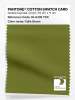 Product image 1 of the product “PANTONE® COTTON SWATCH CARD 18-0435 TCX Calla Green ”