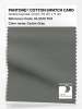 Product image 1 of the product “PANTONE® COTTON SWATCH CARD 18-0510 TCX Castor Gray ”