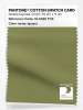 Product image 1 of the product “PANTONE® COTTON SWATCH CARD 18-0525 TCX Iguana ”