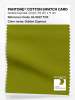 Product image 1 of the product “PANTONE® COTTON SWATCH CARD 18-0537 TCX Golden Cypress ”