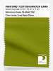 Artikelbild 1 des Artikels “PANTONE® COTTON SWATCH CARD 18-0540 TCX Lima Bean Green “