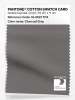 Product image 1 of the product “PANTONE® COTTON SWATCH CARD 18-0601 TCX Charcoal Gray ”