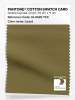 Artikelbild 1 des Artikels “PANTONE® COTTON SWATCH CARD 18-0629 TCX Lizard “