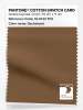 Artikelbild 1 des Artikels “PANTONE® COTTON SWATCH CARD 18-1033 TCX Dachshund “