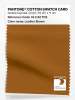 Product image 1 of the product “PANTONE® COTTON SWATCH CARD 18-1142 TCX Leather Brown ”