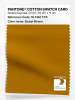 Product image 1 of the product “PANTONE® COTTON SWATCH CARD 18-1160 TCX Sudan Brown ”