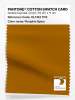 Product image 1 of the product “PANTONE® COTTON SWATCH CARD 18-1163 TCX Pumpkin Spice ”