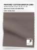 Artikelbild 1 des Artikels “PANTONE® COTTON SWATCH CARD 18-1306 TCX Iron “
