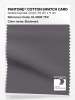 Product image 1 of the product “PANTONE® COTTON SWATCH CARD 18-3906 TCX Boulevard ”