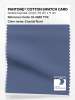 Artikelbild 1 des Artikels “PANTONE® COTTON SWATCH CARD 18-3920 TCX Coastal Fjord “