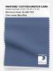 Product image 1 of the product “PANTONE® COTTON SWATCH CARD 18-3921 TCX Bijou Blue ”