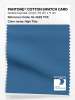 Artikelbild 1 des Artikels “PANTONE® COTTON SWATCH CARD 18-4022 TCX High Tide “