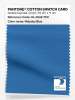 Artikelbild 1 des Artikels “PANTONE® COTTON SWATCH CARD 18-4048 TCX Nebulas Blue “