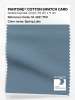Artikelbild 1 des Artikels “PANTONE® COTTON SWATCH CARD 18-4221 TCX Spring Lake “