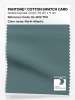 Artikelbild 1 des Artikels “PANTONE® COTTON SWATCH CARD 18-4612 TCX North Atlantic “