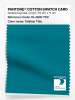Artikelbild 1 des Artikels “PANTONE® COTTON SWATCH CARD 18-4630 TCX Tahitian Tide “