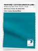 Artikelbild 1 des Artikels “PANTONE® COTTON SWATCH CARD 18-4733 TCX Enamel Blue “