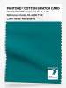 Artikelbild 1 des Artikels “PANTONE® COTTON SWATCH CARD 18-4835 TCX Alexandrite “
