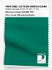 Artikelbild 1 des Artikels “PANTONE® COTTON SWATCH CARD 18-5338 TCX Ultramarine Green “