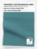 Artikelbild 1 des Artikels “PANTONE® COTTON SWATCH CARD 18-5610 TCX Brittany Blue “