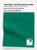 Artikelbild 1 des Artikels “PANTONE® COTTON SWATCH CARD 18-5845 TCX Lush Meadow “