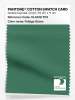 Artikelbild 1 des Artikels “PANTONE® COTTON SWATCH CARD 18-6018 TCX Foliage Green “