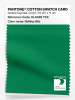 Artikelbild 1 des Artikels “PANTONE® COTTON SWATCH CARD 18-6028 TCX Rolling Hills “