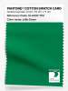 Product image 1 of the product “PANTONE® COTTON SWATCH CARD 18-6030 TCX Jolly Green ”