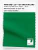 Artikelbild 1 des Artikels “PANTONE® COTTON SWATCH CARD 18-6031 TCX First Tee “